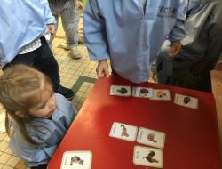 Cette période les élèves travaillent la catégorisation. Nous avons commencer par faire un classement en deux catégories : les  végétaux et les animaux