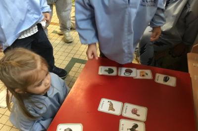 Cette période les élèves travaillent la catégorisation. Nous avons commencer par faire un classement en deux catégories : les  végétaux et les animaux